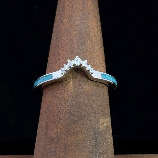 The Sarita Stacking Band