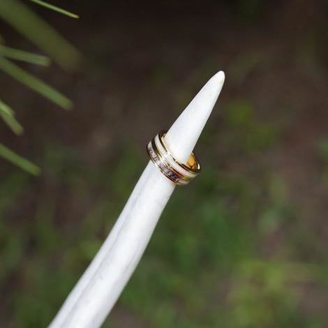 The Gold Ladybird